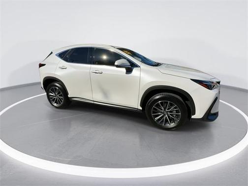 2025 Lexus NX 250 Premium