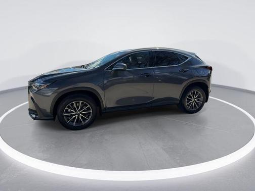 2025 Lexus NX 250 Premium