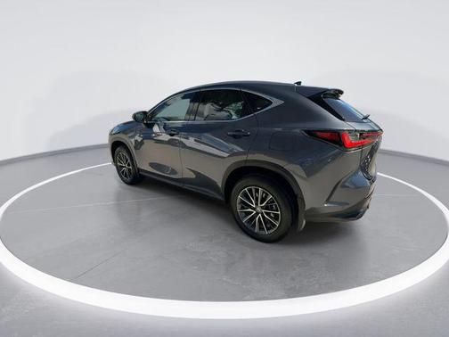 2025 Lexus NX 250 Premium