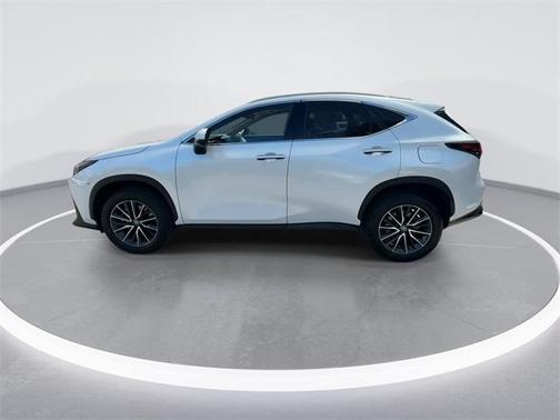2024 Lexus NX 250 Premium