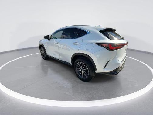 2024 Lexus NX 250 Premium