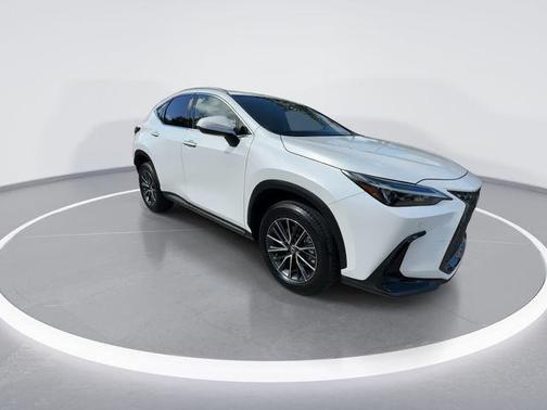 2024 Lexus NX 250 Premium