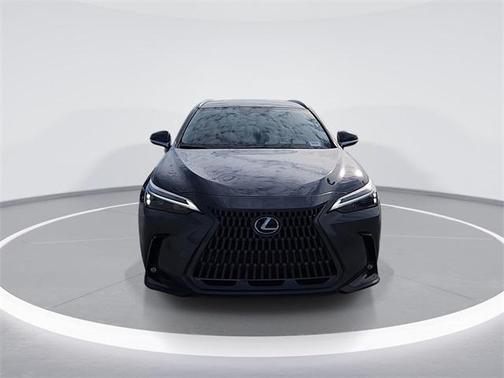 2025 Lexus NX 250 Base