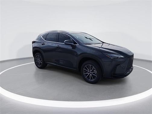 2025 Lexus NX 250 Base