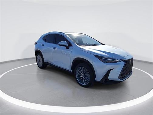 2025 Lexus NX 350 Premium