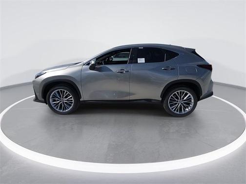 2025 Lexus NX 350h Premium