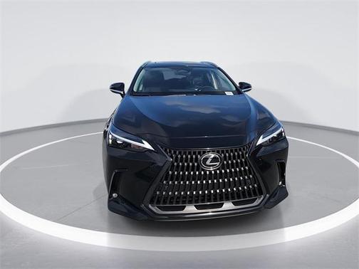 2025 Lexus NX 250 Premium