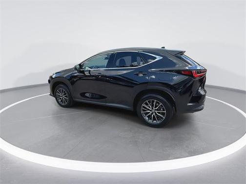 2025 Lexus NX 250 Premium