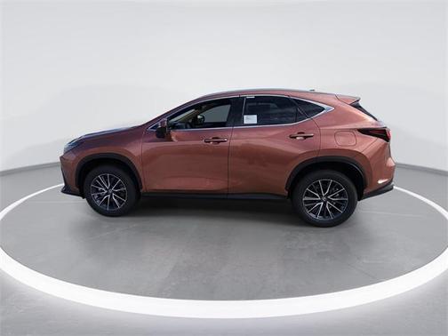 2025 Lexus NX 250 Base