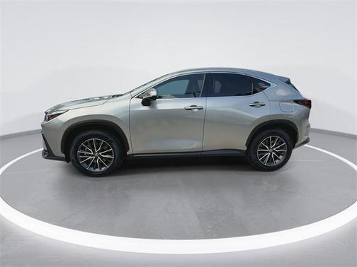 2024 Lexus NX 250 Premium