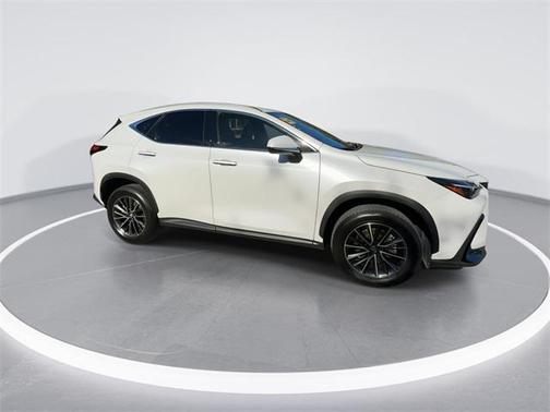 2025 Lexus NX 250 Premium