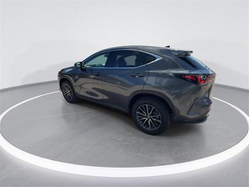 2024 Lexus NX 250 Premium