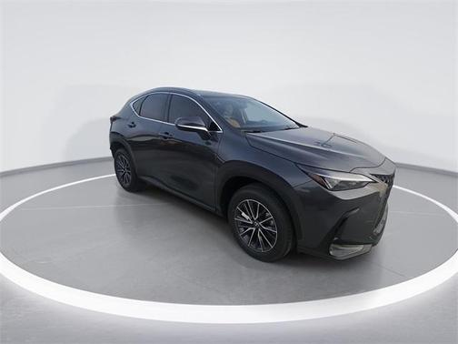 2025 Lexus NX 250 Base