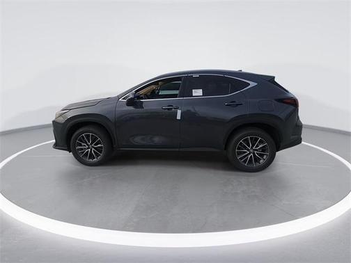 2025 Lexus NX 250 Base