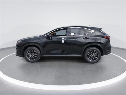 2025 Lexus NX 250 Base