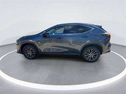 2024 Lexus NX 250 Base