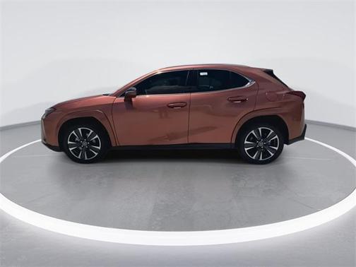2025 Lexus UX 300h Premium