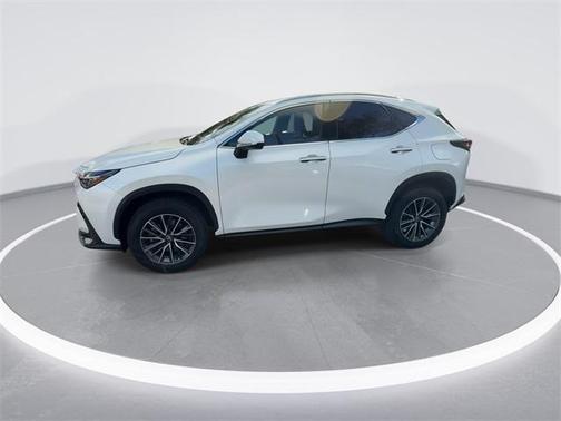 2024 Lexus NX 250 Base