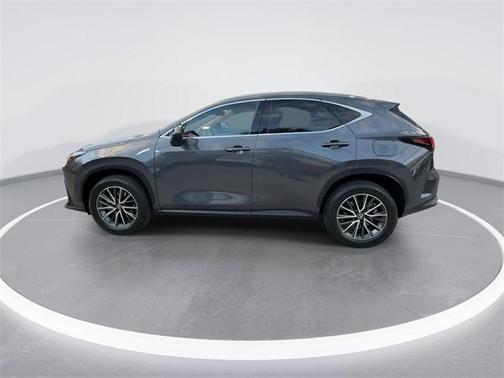 2024 Lexus NX 350h Premium