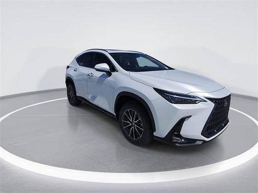 2025 Lexus NX 250 Premium