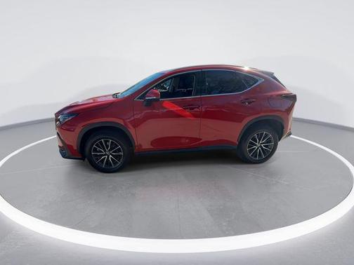 2024 Lexus NX 250 Premium