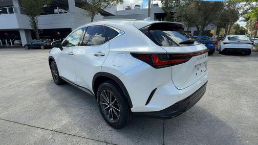 2024 Lexus NX 250 Premium