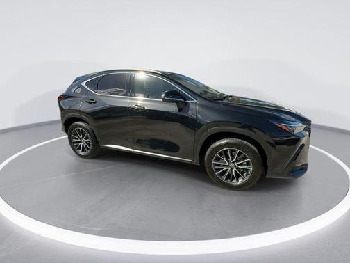 2025 Lexus NX 250 Base