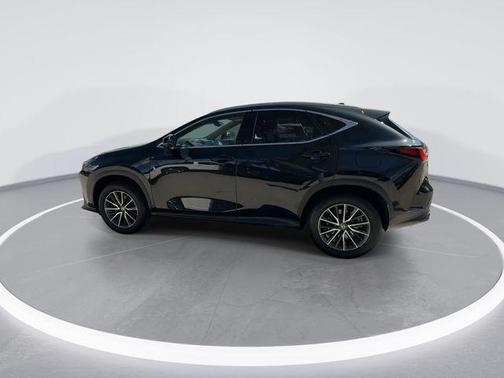 2025 Lexus NX 250 Base