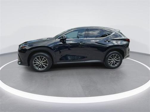 2024 Lexus NX 250 Premium