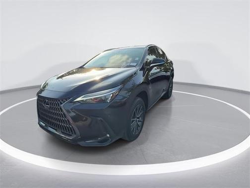 2024 Lexus NX 250 Premium