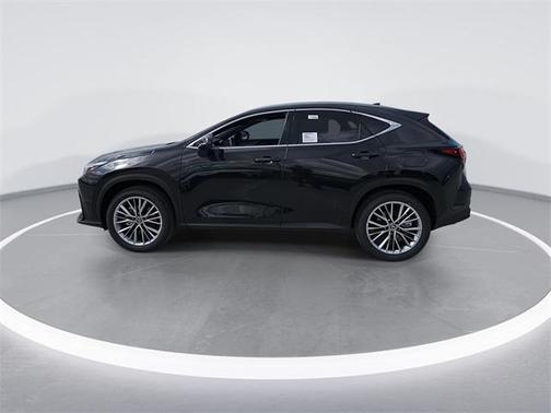 2025 Lexus NX 350h Premium
