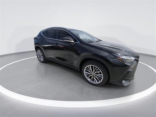 2025 Lexus NX 350h Premium