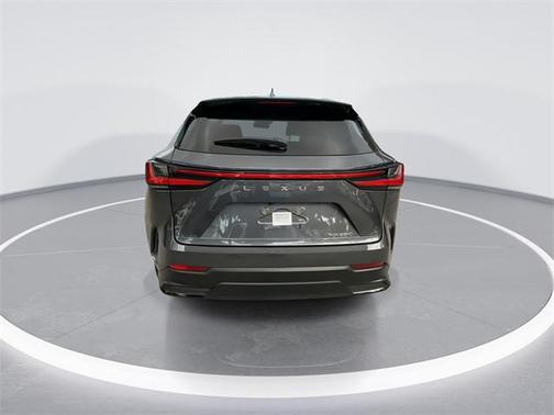 2024 Lexus NX 250 Premium