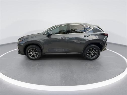 2024 Lexus NX 250 Premium