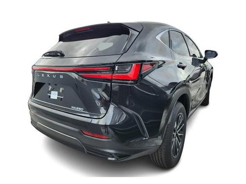 2025 Lexus NX 250 Base