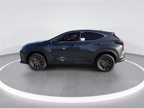 2025 Lexus NX 250 Premium