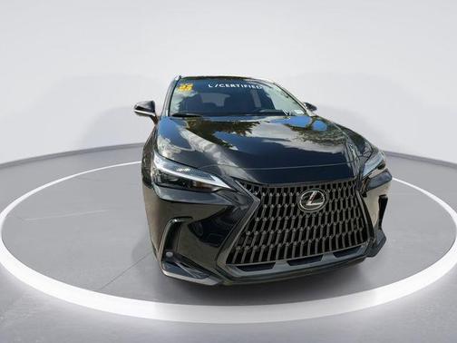 2025 Lexus NX 250 Premium
