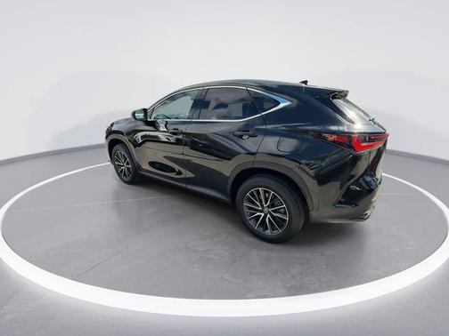 2025 Lexus NX 250 Premium