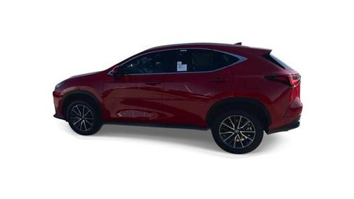 2025 Lexus NX 250 Premium