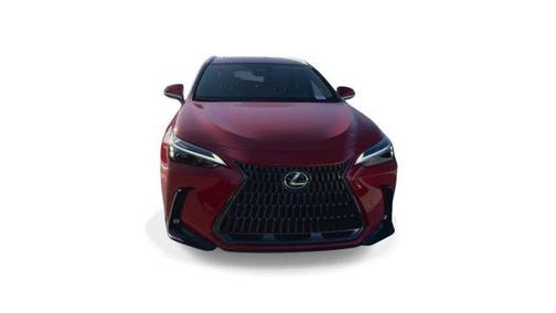 2025 Lexus NX 250 Premium