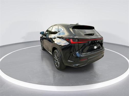 2024 Lexus NX 250 Premium