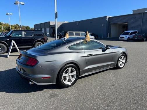 2021 Ford Mustang EcoBoost