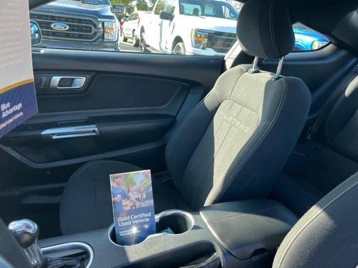 2021 Ford Mustang EcoBoost