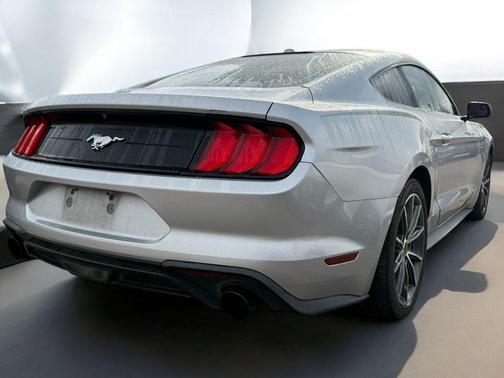 INGOT SILVER METALLIC 2019 Ford Mustang EcoBoost