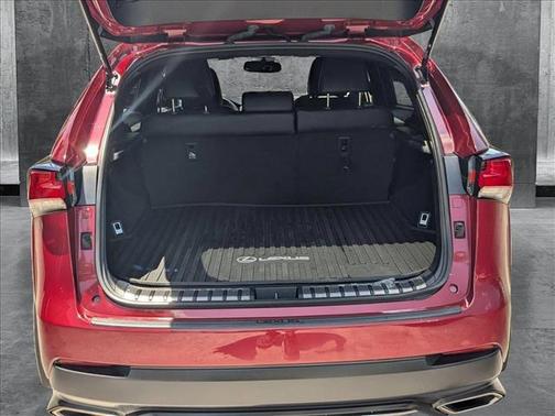 2021 Lexus NX 300 F Sport