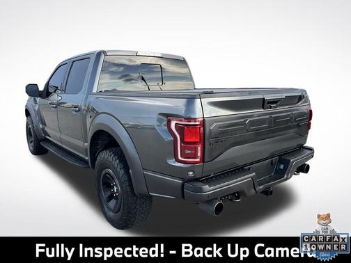 Magnetic Metallic 2018 Ford F-150 Raptor