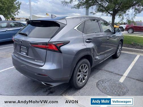 Nebula Gray Pearl 2018 Lexus NX 300 Base