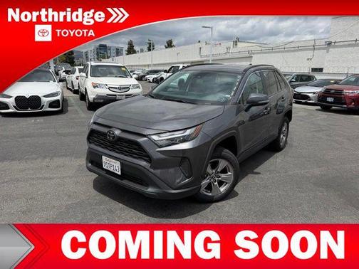Magnetic Gray Metallic 2025 Toyota RAV4 XLE