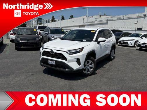 Ice Cap 2025 Toyota RAV4 LE