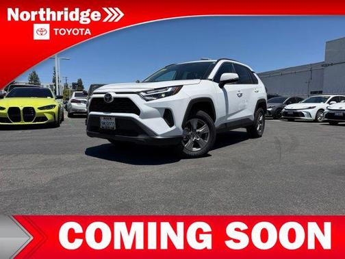 Ice Cap 2024 Toyota RAV4 XLE